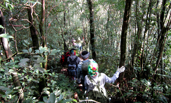 Trekking Tam Đảo 2 và Đỉnh Rùng Rình.